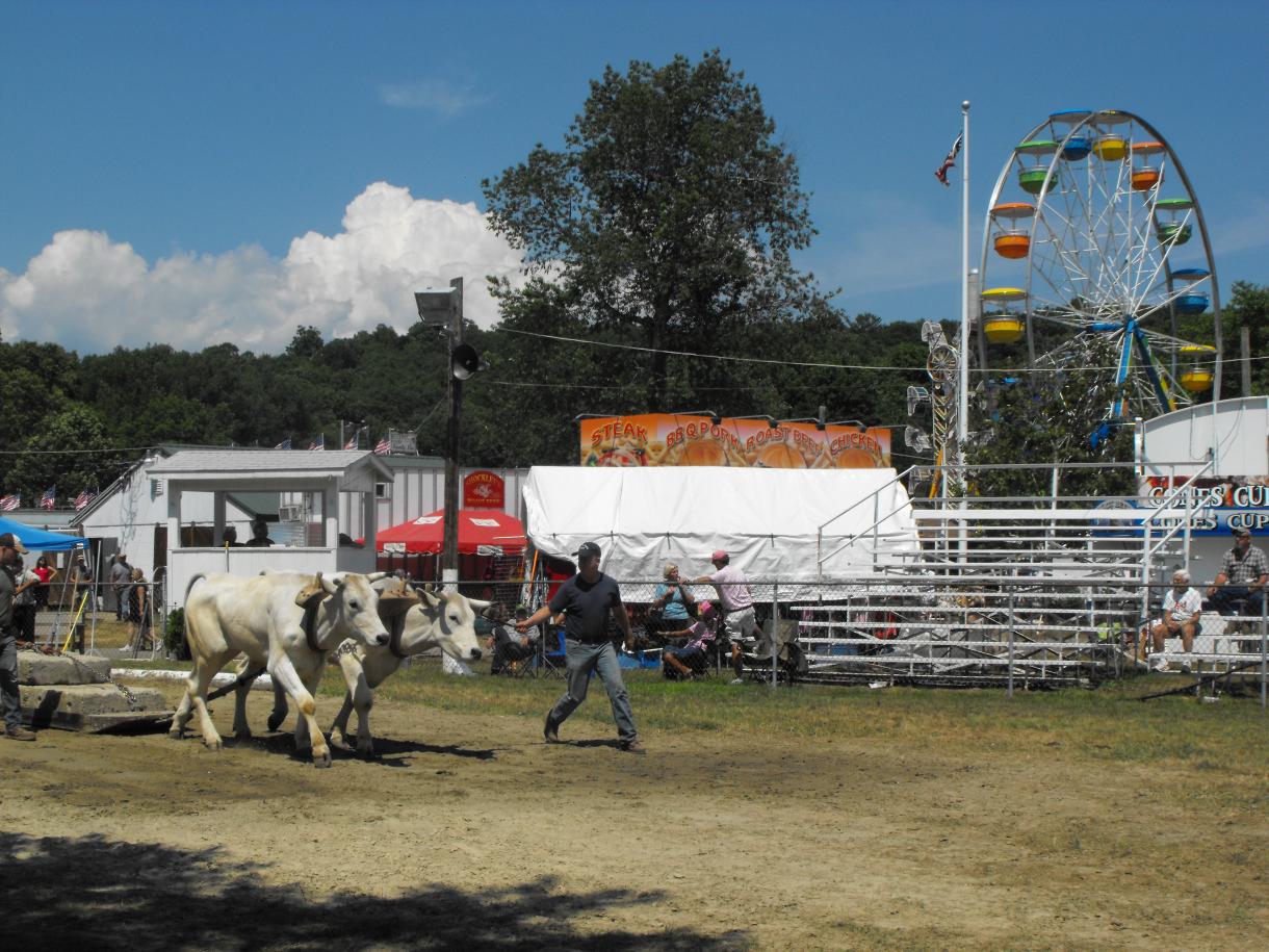 Horse Pulling at NoSto Fair